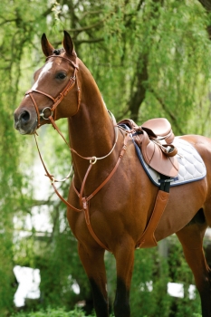 Rintaremmimartingaali Stübben Full