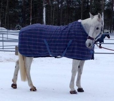 Villaloimi Stable Collection 125cm